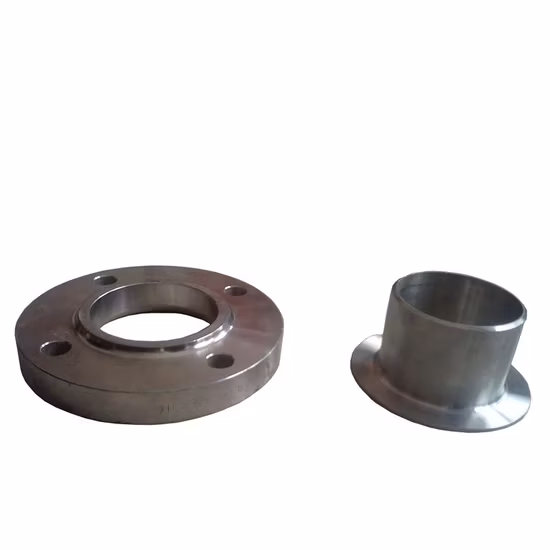 Big Size Forged Stainless Steel Wn Welding Neck Flanges